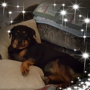 Meet your Posher, Karen